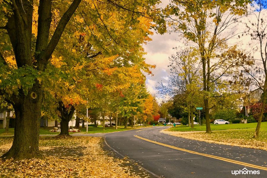 Rochester Park